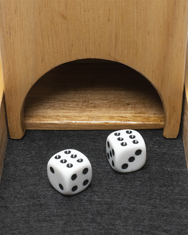 Dice Tower with dice